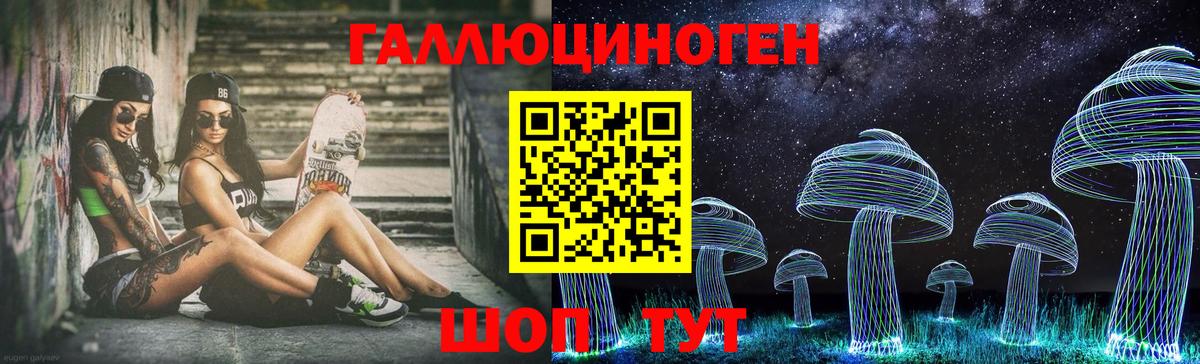 где купить наркоту  Галлюциногенные грибы прущие грибы  Вход с VPN  Псилоцибиновые грибы прущие грибы  Майкоп 